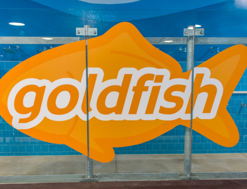 Goldfish Swim School